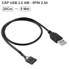 Dây USB type-A đực sang 5pin USB 2.0 trên bo mạch PC - 5 Pin Motherboard to USB Adapter Cable