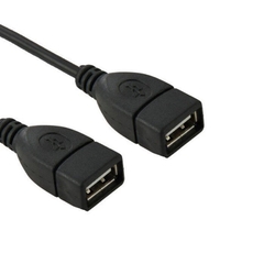 10 Pin Motherboard Female Header to Dual USB 2.0 Female Adapter Cable