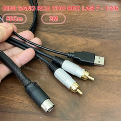 Dây DIN 8 sang RCA và USB power cho BeoLab 7 - Beolab 7 Powerlink cable
