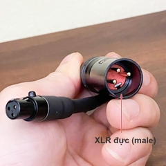 Dây canon cái đầu nhỏ sang canon đực đầu lớn - Mini XLR 3-pin Female to XLR 3 pin Male Cable, for SLR Cameras, Microphones