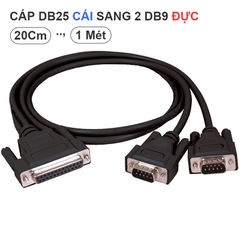 Cáp DB25 Cái sang 2 đầu DB9 đực - RS232 D-Sub splitter cable, 25-pin female to 2 RS232 D-Sub 9-pin male.