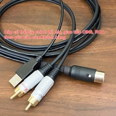 Dây DIN 8 sang RCA và USB power cho BeoLab 7 - Beolab 7 Powerlink cable