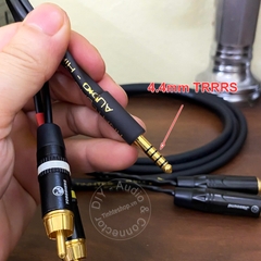 Cáp BAL 4.4 sang 2 đầu hoa sen đồng mạ bạc có thể dùng cho 2 loa 2 bên