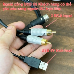 Dây DIN 8 sang RCA và USB power cho BeoLab 7 - Beolab 7 Powerlink cable