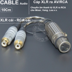 Rắc canon cái sang hoa sen cái 1 cặp 10Cm - XLR female to RCA female adapter