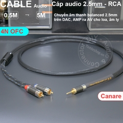 Dây 2.5mm sang 2 đầu RCA R-L lõi đồng 6N mạ bạc