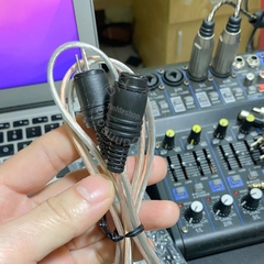 Dây loa Din 2 nối dài cho âm ly Châu Âu - 2-pin male to female speaker cable extension