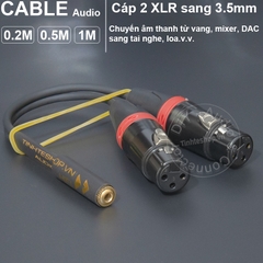 Dây canon sang 3.5mm chuyển âm thanh từ Vang số Mixer DAC sang loa - 2 XLR female to 1/8 cable