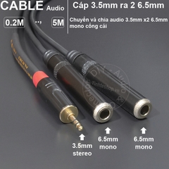 Cáp chia jack 6 ly ra 2 cổng 3.5 - 6.5mm stereo audio cable to 2 female 3.5mm ports
