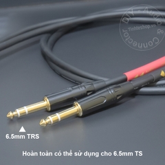 Dây hoa sen sang 6 ly TRS 1 cặp - RCA audio cable is perpendicular to 1/4