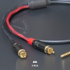 Cáp balanced 2.5mm sang 2 RCA 0.2 đến 5 mét - 2.5 to 2 RCA balanced audio cable for DAC AMP Speaker Amplifier