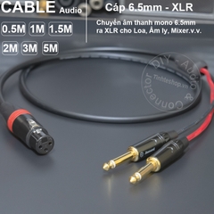 Jack canon ra 6 ly DIY 0.5 đến 5 mét - XLR male to 2 6.35mm mono audio cable