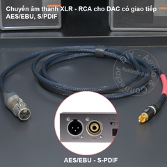 Dây AES/EBU canon sang AV 0.2 đến 10 mét - DIY AES EBU XLR female to RCA digital audio cable