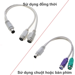 Cáp chia PS2 dùng chung chuột bàn phím - PS2/2 male to 2 male to 2 female keyboard adapter cable