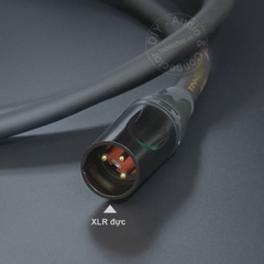 Jack chia canon đực sang 2 cái cắm cho Đẩy Vang Mixer Loa - Male to 2 female XLR port splitter cable