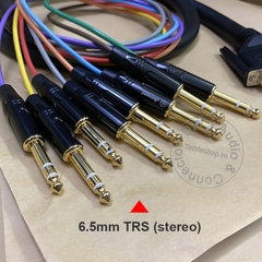 Dây jack DB25 sang 6.5mm TRS 8 cổng cho thiết bị âm thanh HOSA - D-Sub 25pin to 6.35mm cable