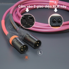 Dây canon đồng mạ bạc 1 cặp cho Mixer Bàn DJ DAC Loa kiểm âm