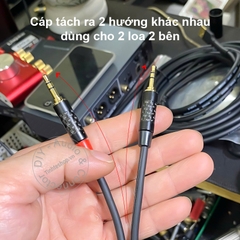 Dây hoa sen cái sang 3.5 chuyển từ DAC sang 2 loa - RCA female to 3.5mm male cable