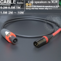 Jack loa sang canon đực cắm cho Đẩy Vang Sub Mixer 0.2 đến 10 mét - Speakon to XLR male speaker cable
