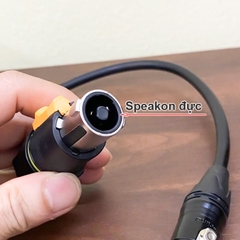 Dây cho Sub BOSE 403 speakon sang XLR