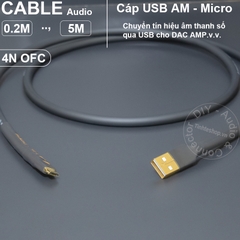 Dây USB DAC type C sang type B 0.2 đến 8 mét - USB CM to BM OTG cable