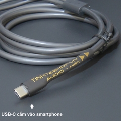 USB-C sang 2 đầu AV chuyển âm thanh từ Smartphone Tablet Laptop sang Loa Âm ly - 32-bit 384KHz DIY USB Type-C to RCA DAC Converter