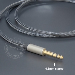 USB type C sang 6.5 stereo 0.5 đến 5 mét - USB-C to 6.35mm TRS HIFI ALC5686 32bit cable