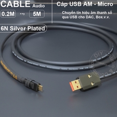 Dây USB A sang C cho DAC lõi đồng 6N mạ bạc - USB 2.0 AM to CM OTG cable