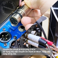 Cáp XLR sang 2 AV DIY 0.5M đến 5M - XLR female to 2 RCA cable