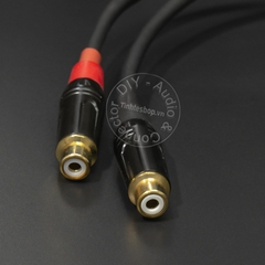 Dây từ vang xuống Sub DIY 0.5M đến 1.5M - XLR cái sang 2AV cái