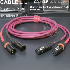 Dây canon đồng mạ bạc 1 cặp cho Mixer Bàn DJ DAC Loa kiểm âm