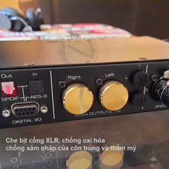 Nắp bịt cổng canon mạ vàng 24K 1 chiếc - XLR Port Guard