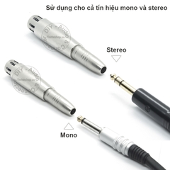 Đầu chuyển 6.5mm sang XLR cái stereo/mono - 6.5mm female to XLR female adapter