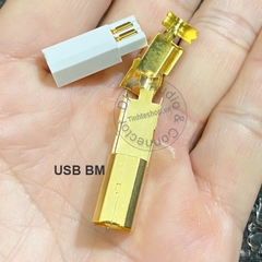 Giắc USB AM BM mạ vàng 24K 1.5U DIY cáp USB DAC