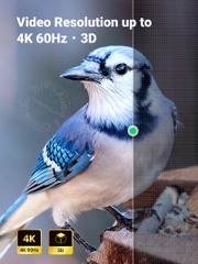 Đầu nối dây HD 2.0 4K60Hz Ugreen 20107 - HDMI female to female adapter