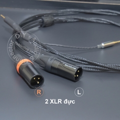 Dây balanced 2.5 sang 2 jack canon chuyển âm thanh từ DAC AMP sang Loa kiểm âm Mixer