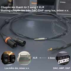 Dây balanced 2.5 sang 2 jack canon chuyển âm thanh từ DAC AMP sang Loa kiểm âm Mixer