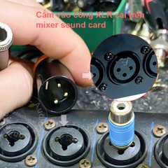 Dây 2 đầu 6 ly cái sang canon đực cắm Nhạc cụ Micro vào mixer - 6.5mm female to XLR male cable