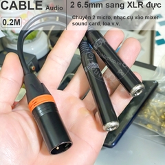 Dây 2 đầu 6 ly cái sang canon đực cắm Nhạc cụ Micro vào mixer - 6.5mm female to XLR male cable