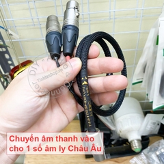 Dây canon sang DIN 5 chân chuyển âm thanh vào cho âm ly Châu Âu B&O