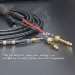 Jack 3.5 ra 2 đầu 6 ly 0.2 đến 10 mét - DIY 3.5mm stereo to 2 jack 6.35mm cable