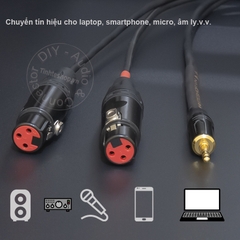 Dây canon sang 3.5mm chuyển âm thanh từ Vang số Mixer DAC sang loa - 2 XLR female to 1/8 cable