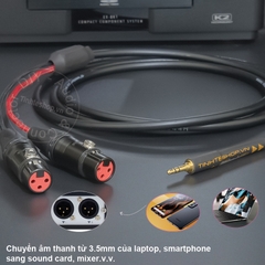 Cáp 3.5 sang 2 canon cái DIY chuyển từ Laptop Smartphone ra Mixer Loa Sound card - 3.5mm to 2 XLR female cable