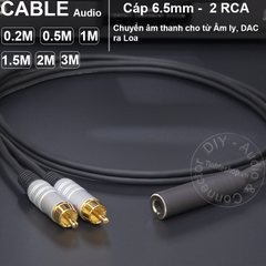 Dây 6 ly ra 2 AV DIY 0.2 đến 3 mét - 6.5mm mono female to 2 RCA cable