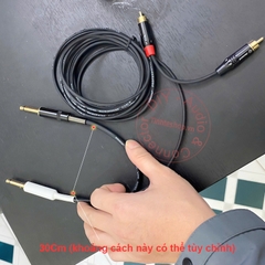 Dây 6 ly sang 6 ly sang 2 RCA tùy chỉnh theo yêu cầu của Khách hàng
