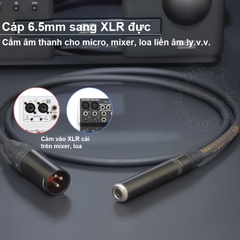Cáp 6.5 ra canon cái - 6.5mm female to XLR female cable