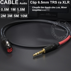 Dây jack 6 ly sang canon cái DIY 0.5 đến 10 mét - Female TRS 1/4 to XLR audio cable