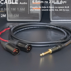 Cáp 6.5 ra 2 XLR đực DIY 0.5 đến 5 mét - 6.5mm mono to 2 XLR male audio cable