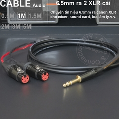 Dây jack 6 ly stereo ra 2 XLR cái DIY 0.5 đến 5 mét - 6.5mm TRS audio cable to 2 female canons