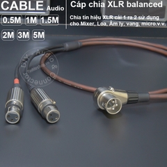 Cáp XLR đực sang 2 cái cắm cho Mixer Vang Micro - DIY male to 2 female XLR splitter cable